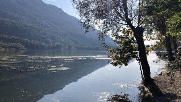 Camping Ranocchio — Photo 4