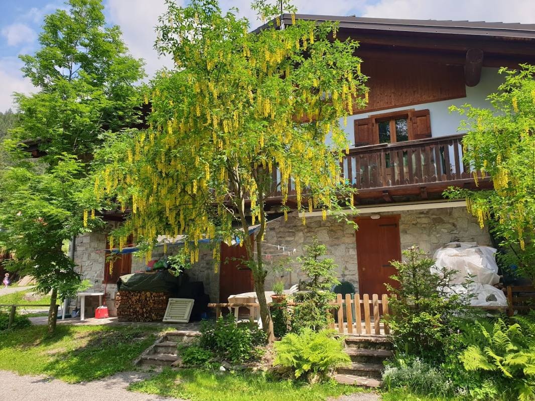 Camping Remal — Camping Site in Valle Dorizzo