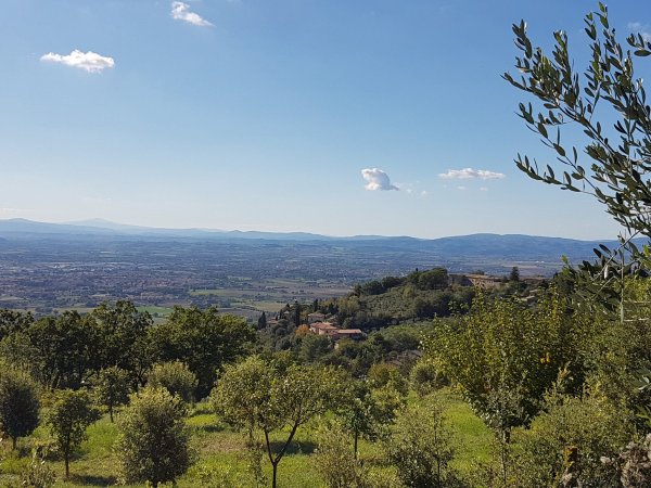 Camping Fontemaggio — Photo 2