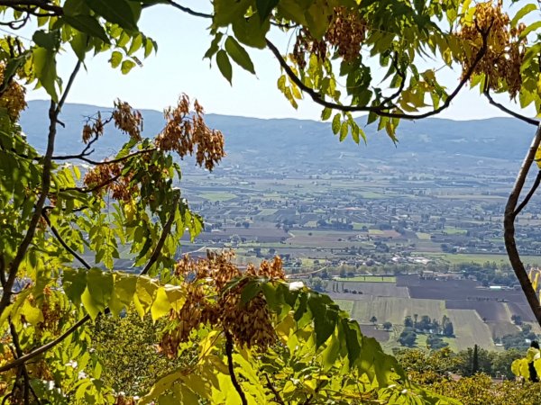 Camping Fontemaggio — Photo 3