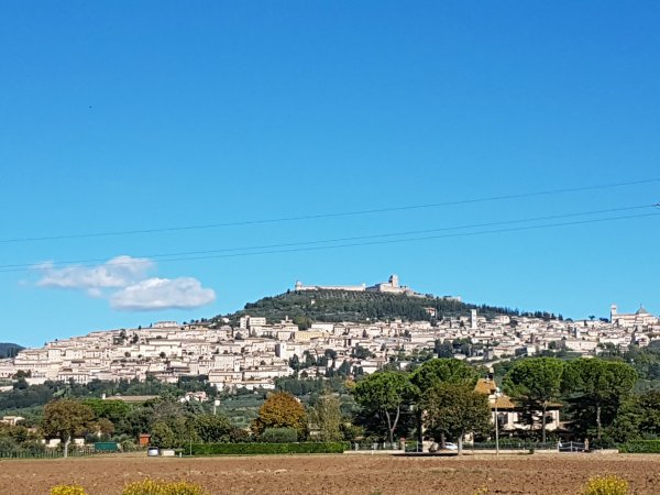 Camping Fontemaggio — Photo 4