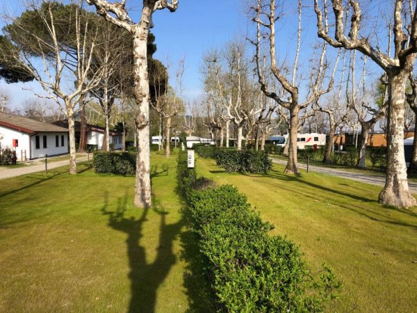 Camping Village Lago Maggiore — Photo 2