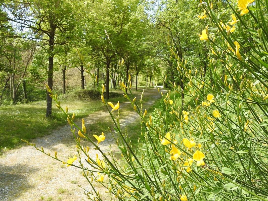 Piccolo Camping Emaieu — Cámping in Maiolo - Garbagna
