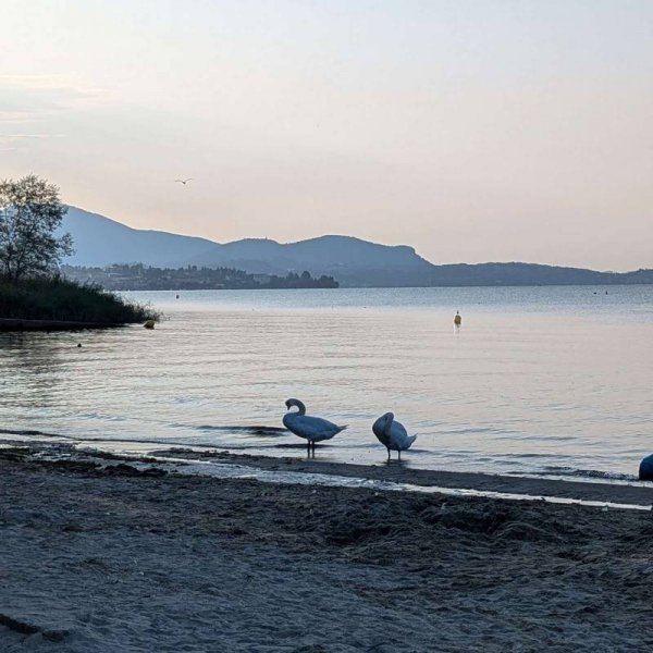 Camping Village Isolino — Fotoğraf 4