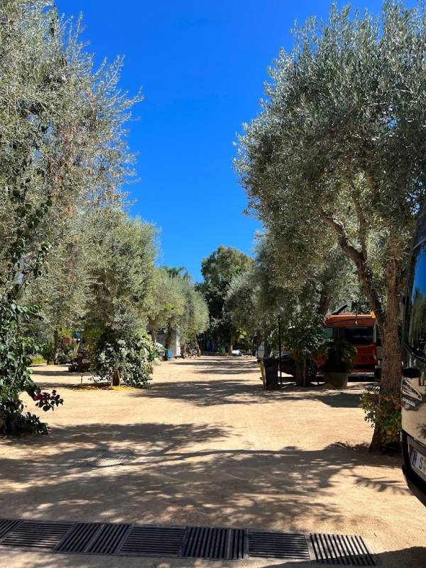 Campeggio Lago Azzurro — Camping in Dormelletto