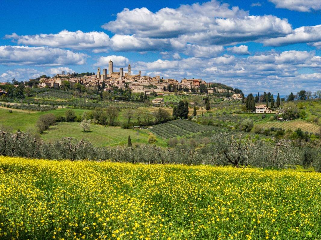 Camping Village Parisi — Camping in Baveno