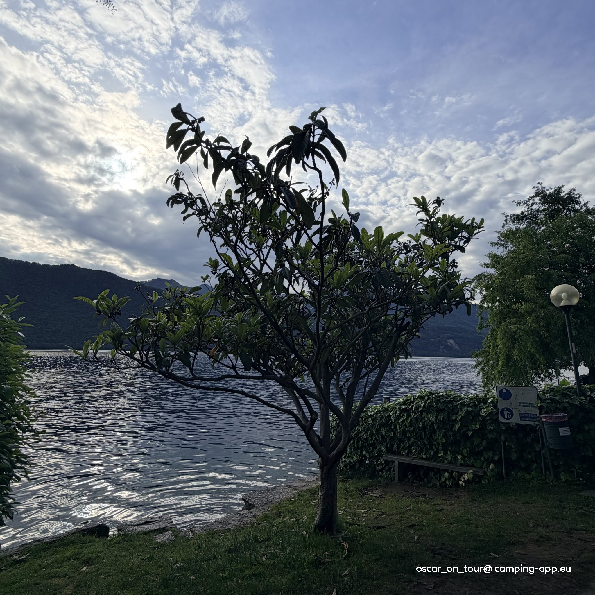 Camping Allegro — Campingplats in Pettenasco