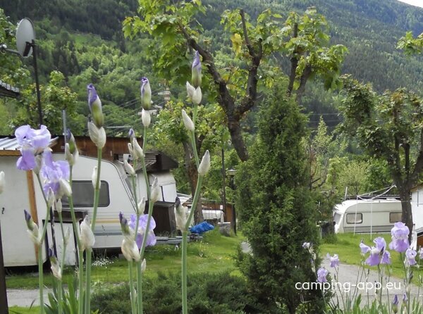 International Camping Mont Blanc