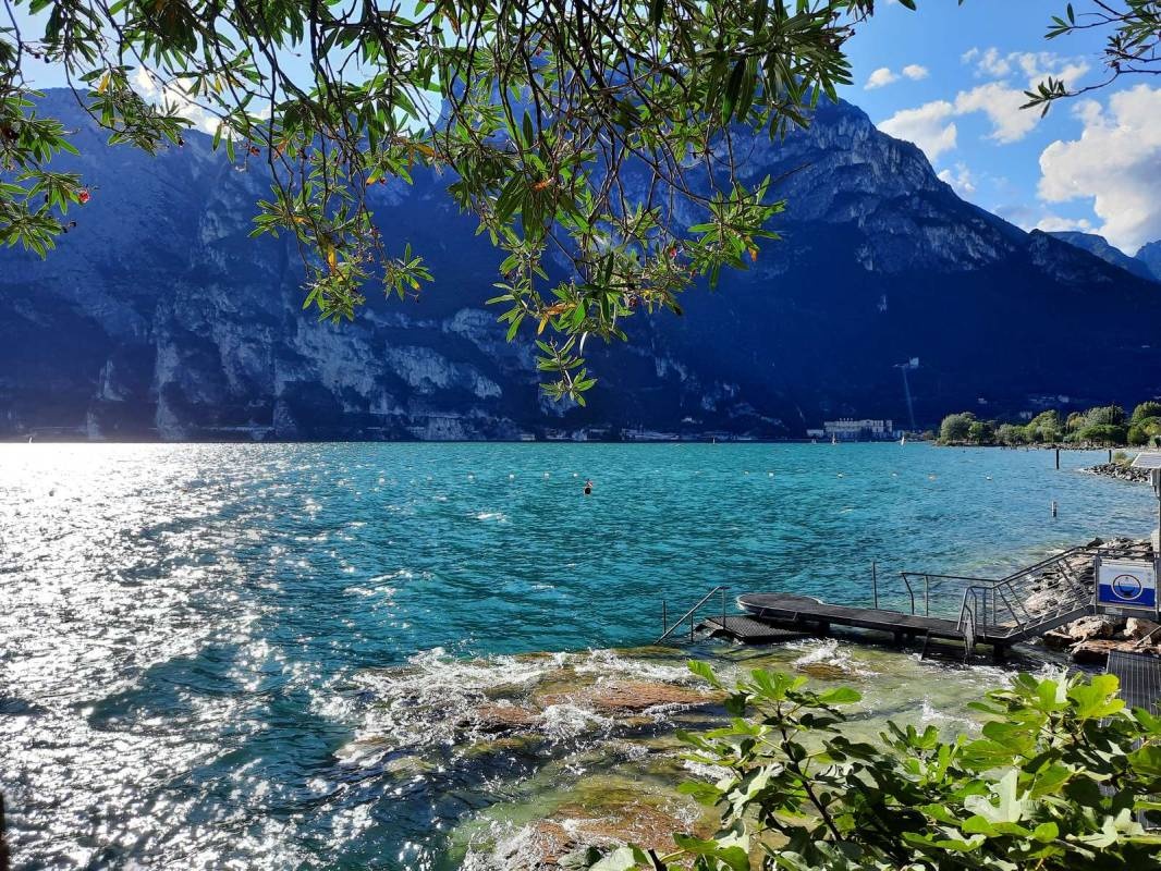 Campeggio Al Lago — Campingplass in Riva del Garda