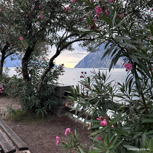 Campeggio Al Lago — Foto 4