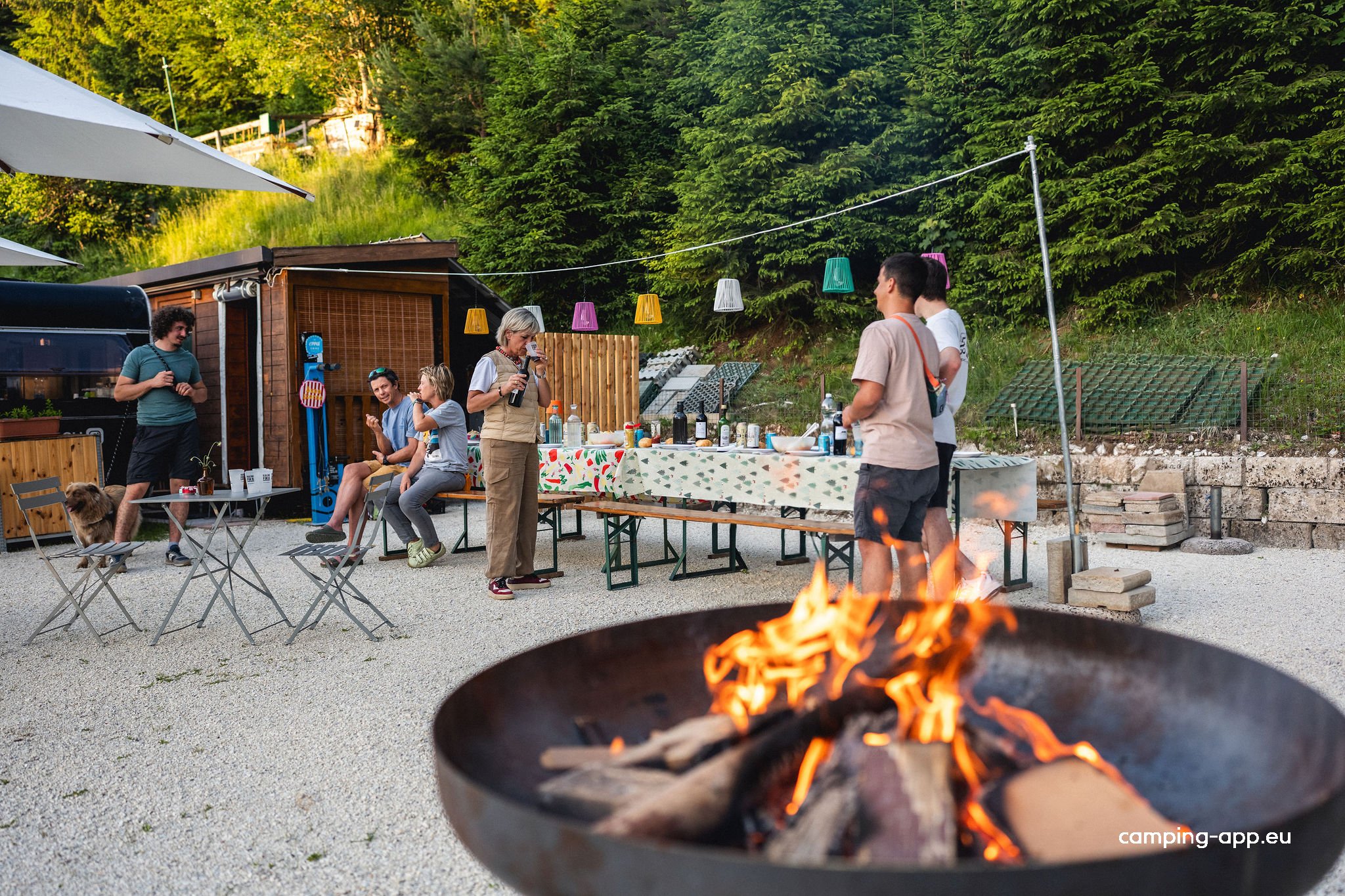 Magnifiko Camp — Foto 2