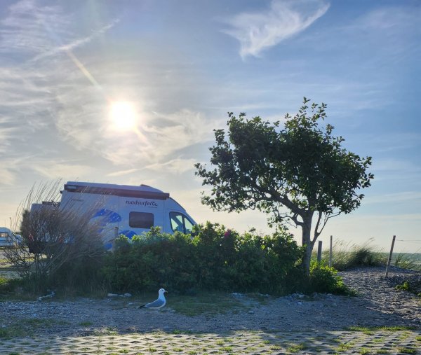Ahoi Camp Fehmarn — Fotoğraf 3