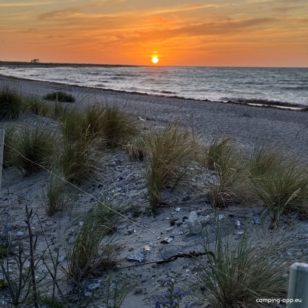Ahoi Camp Fehmarn — Fotoğraf 5