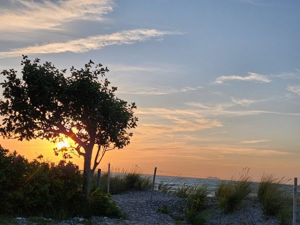 Ahoi Camp Fehmarn — Fotoğraf 4