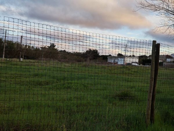 Casa da Duna — Photo 4