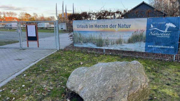 Naturdüne Zingst — Photo 3