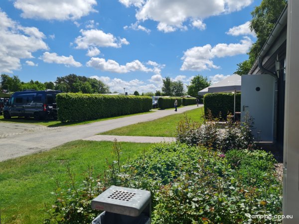 Naturdüne Zingst — Foto 3