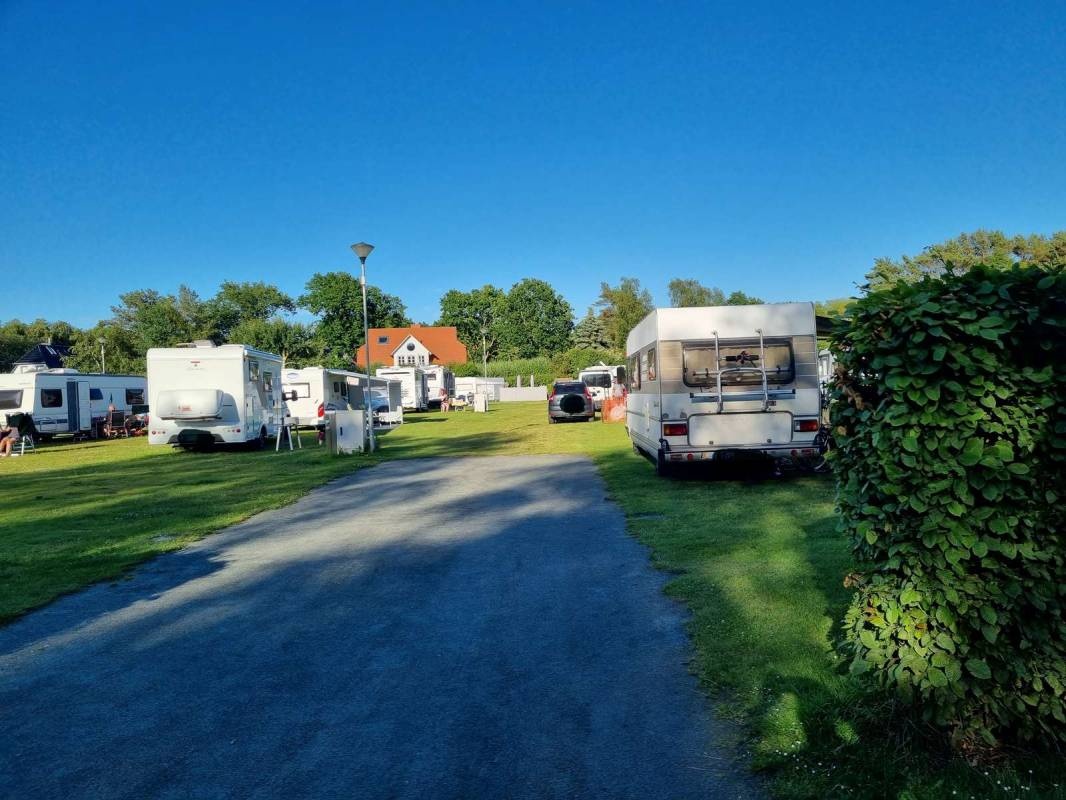Naturdüne Zingst — Campingplass in Zingst