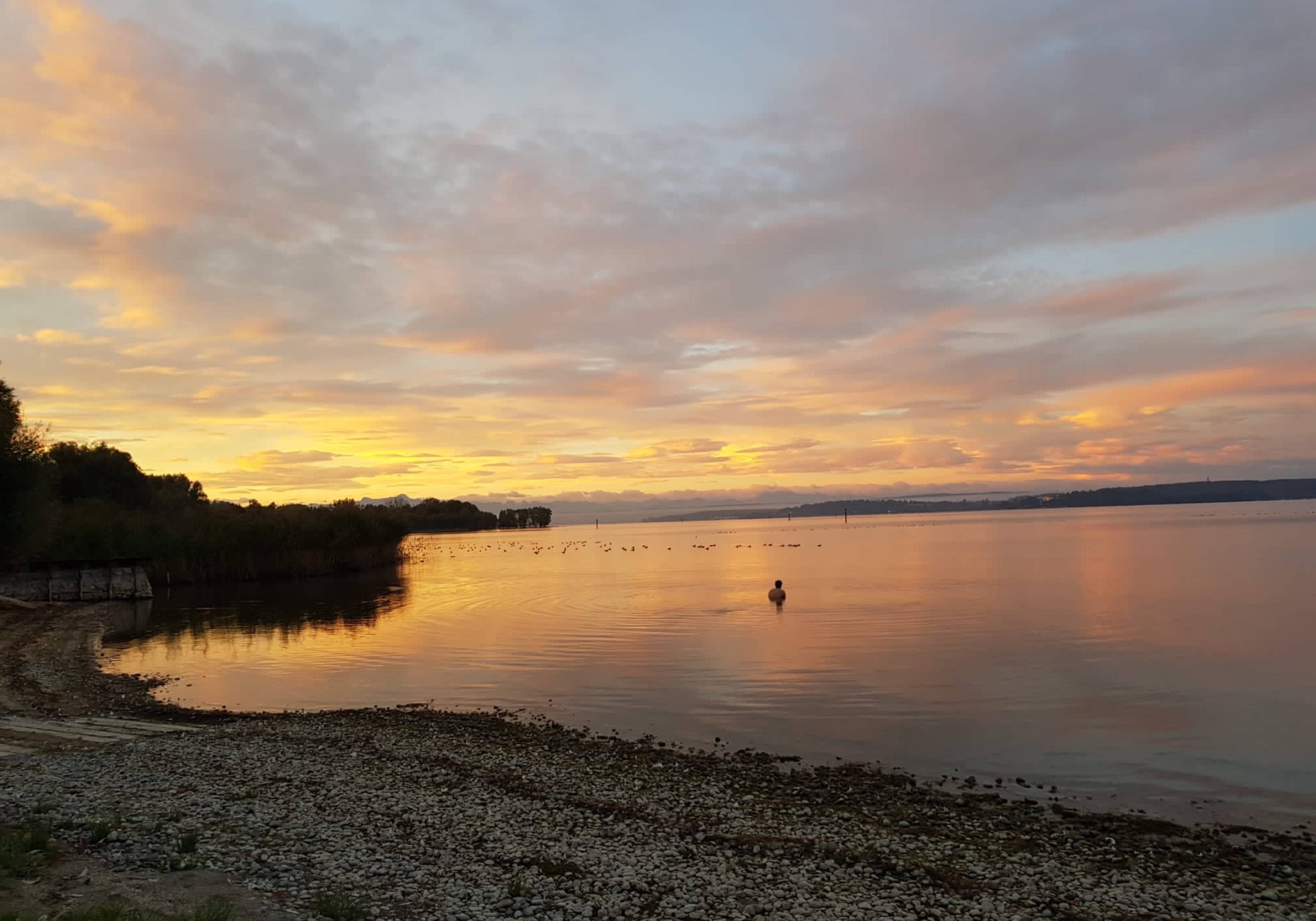 CP Birnau-Maurach — 露营地 in Uhldingen-Mühlhofen