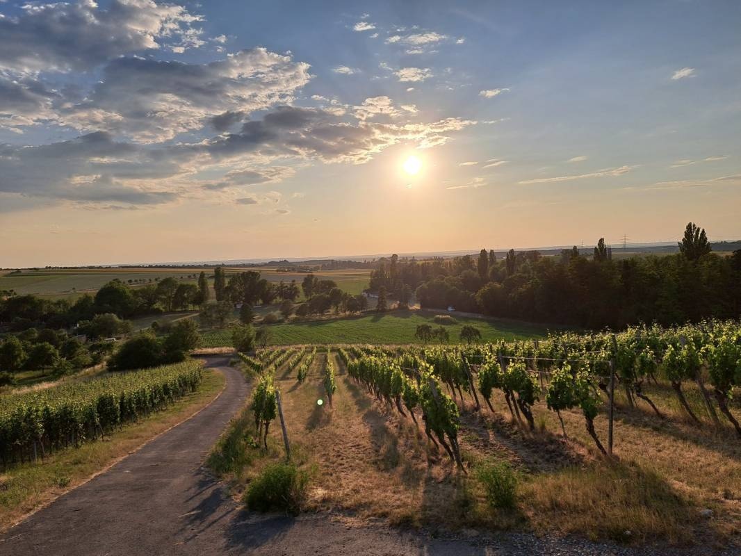 Stellplatz Castell — Karavan Sitesi in Greuth