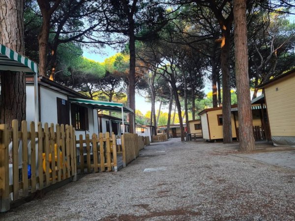 Campeggio Villaggio Rivaverde — Zdjęcie 3