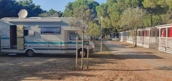 Camping Mare e Pineta — Fotoğraf 3