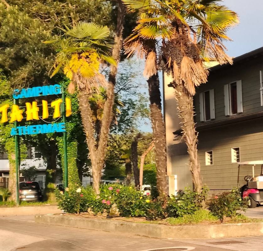 Tahiti Camping & Thermae Bungalow Park — Camping in Lido delle Nazioni