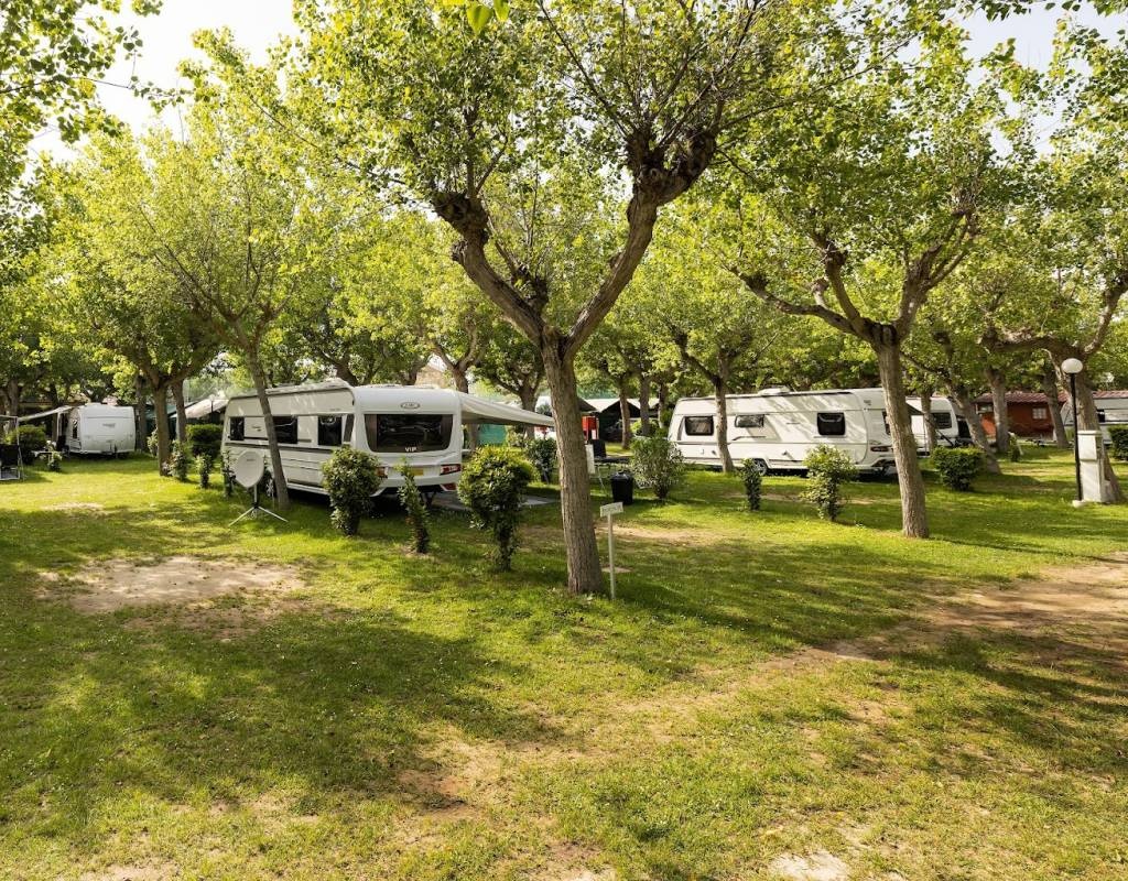 Camping Classe — Kemp in Lido di Dante