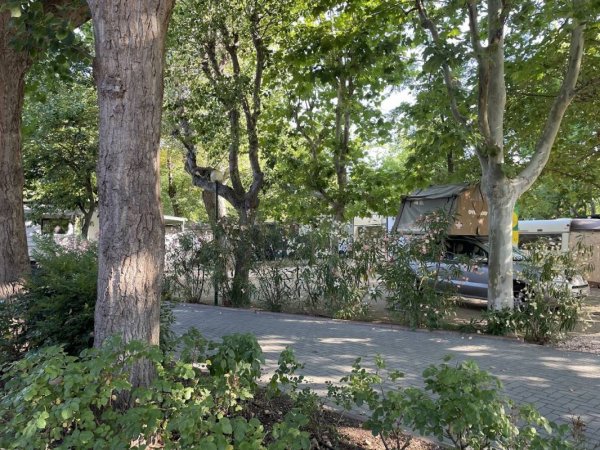 Camping Green — Photo 2