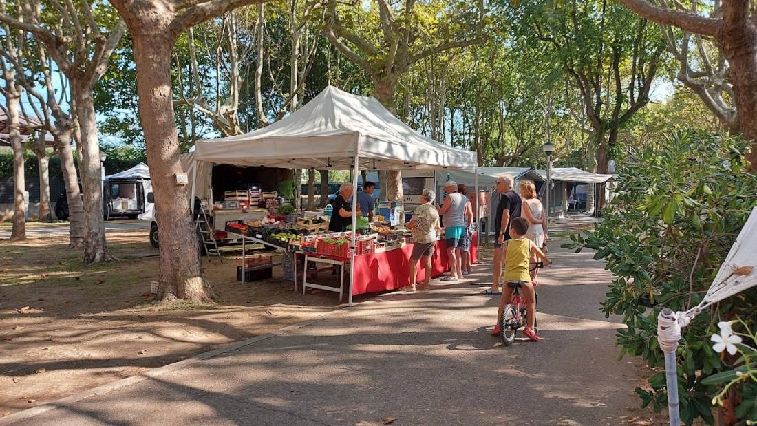 Camping Safari — Camping in Cervia