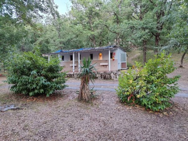 Camping Le Querce — Zdjęcie 3