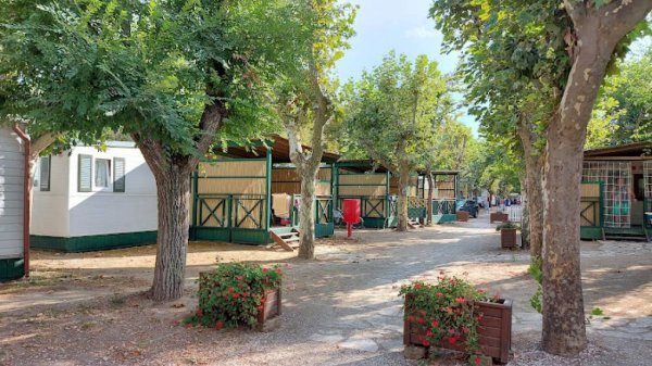 Villaggio Camping delle Rose — Photo 2