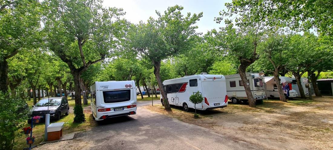 Camping Pinarella — Camping Site in Pinarella