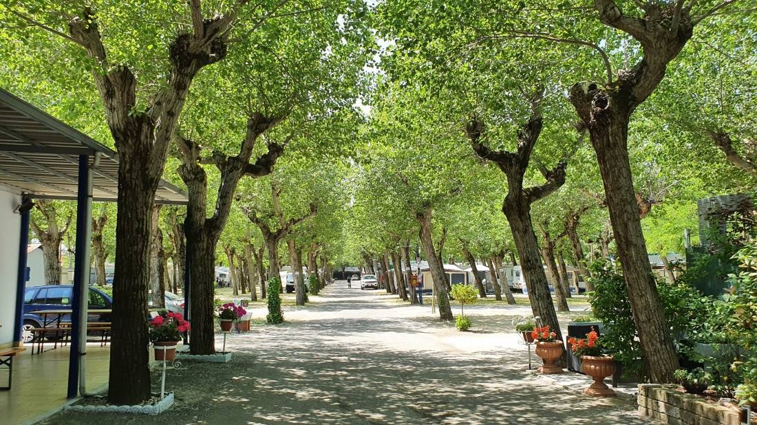 Camping Pinarella — Kemping in Pinarella