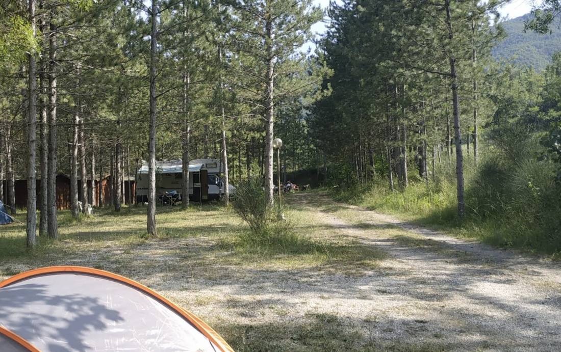 Camping del Lago Bar Pineta — Campingplass in Lago di Suviana