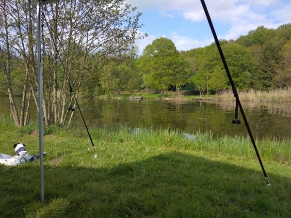 Spiegelburg Camping und Gasthaus — Campingplads in Hann. Münden