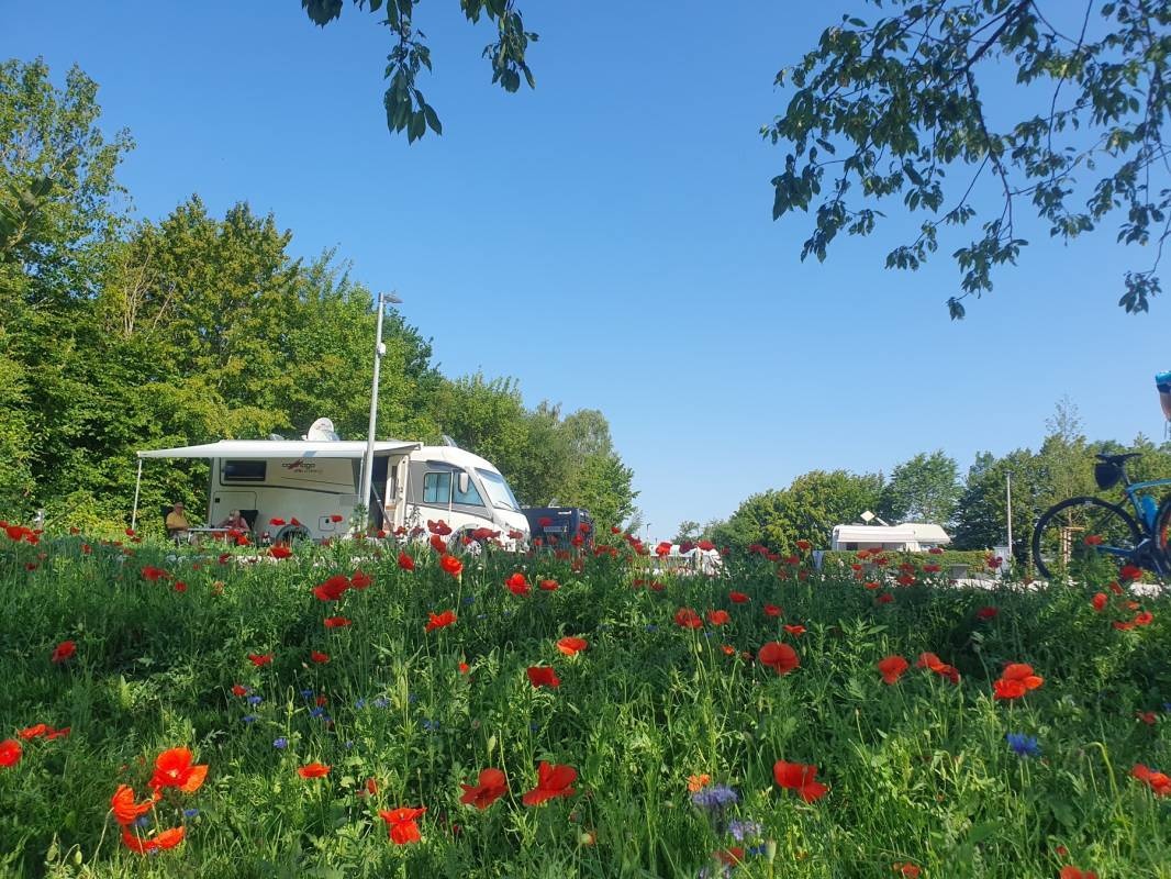 Wohnmobilstellplatz Bad Wurzach — Camperplads in Bad Wurzach / Allgäu
