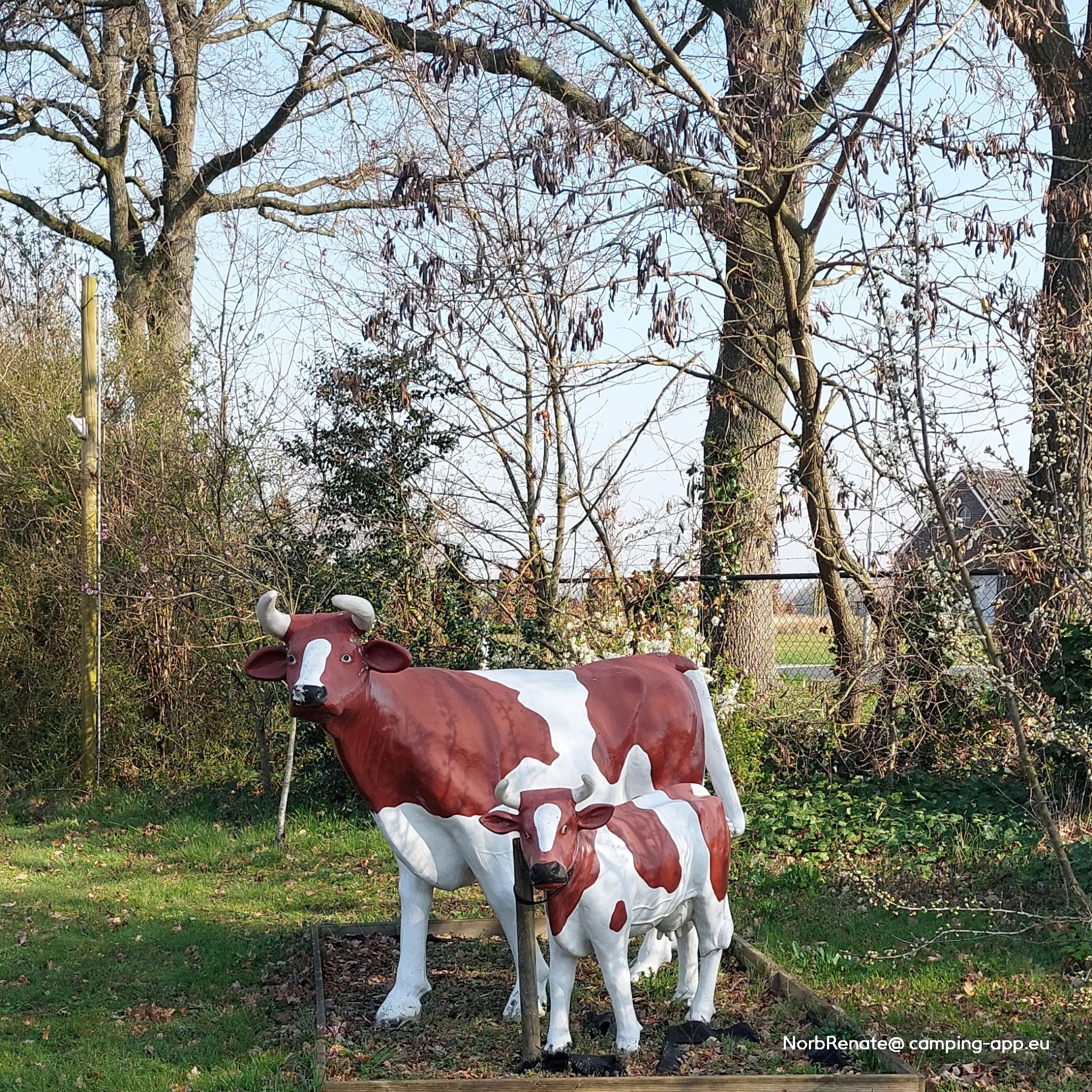 Camperplaats Ittervoort — Photo 4