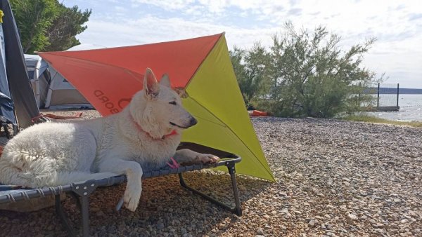 Nacionalni park — Photo 5