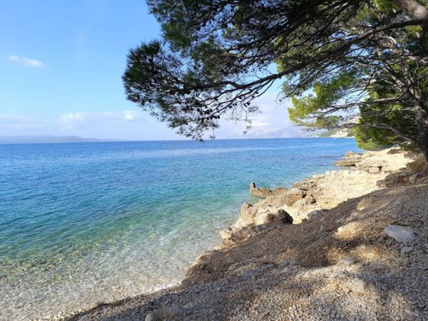 Camp Riviera — Photo 3