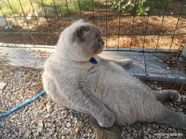 Camp Milo Moje — Photo 5