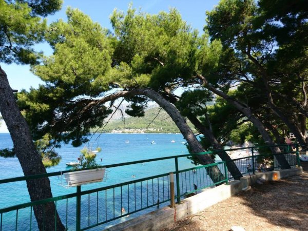 Camp Uvala Borova — Photo 2