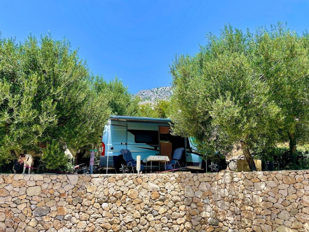 Camp Podaca — Kemp in Podaca