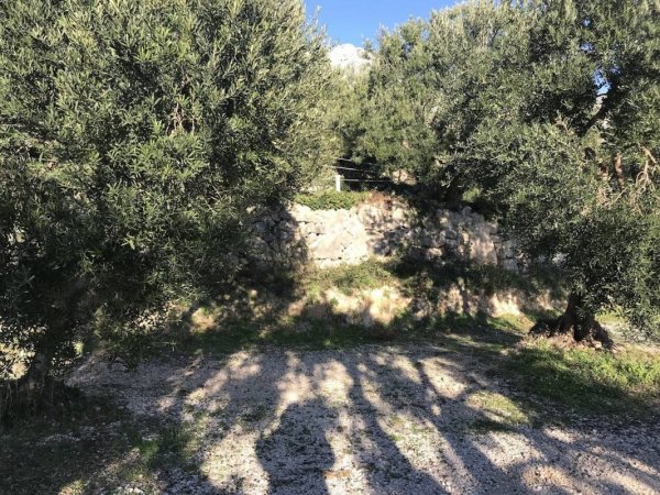 Camp Podaca — Photo 2