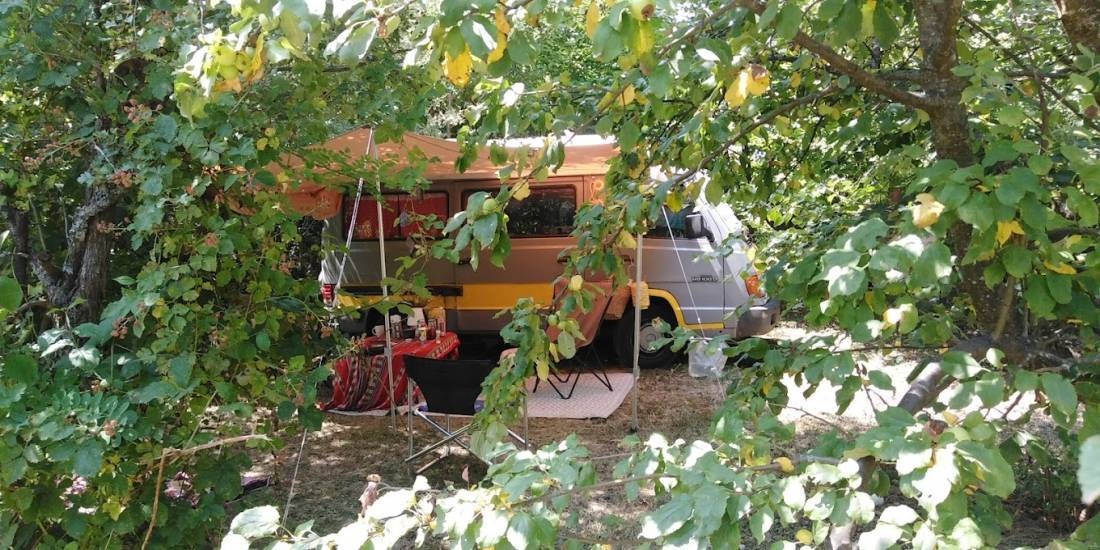 Camping Bogata Šuma — Area da campeggio in Živković Kosa