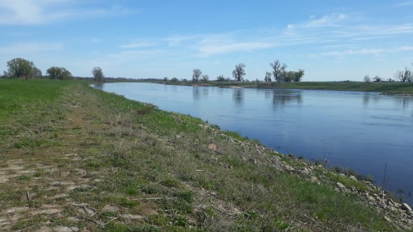 Auf der Tenne — Photo 2