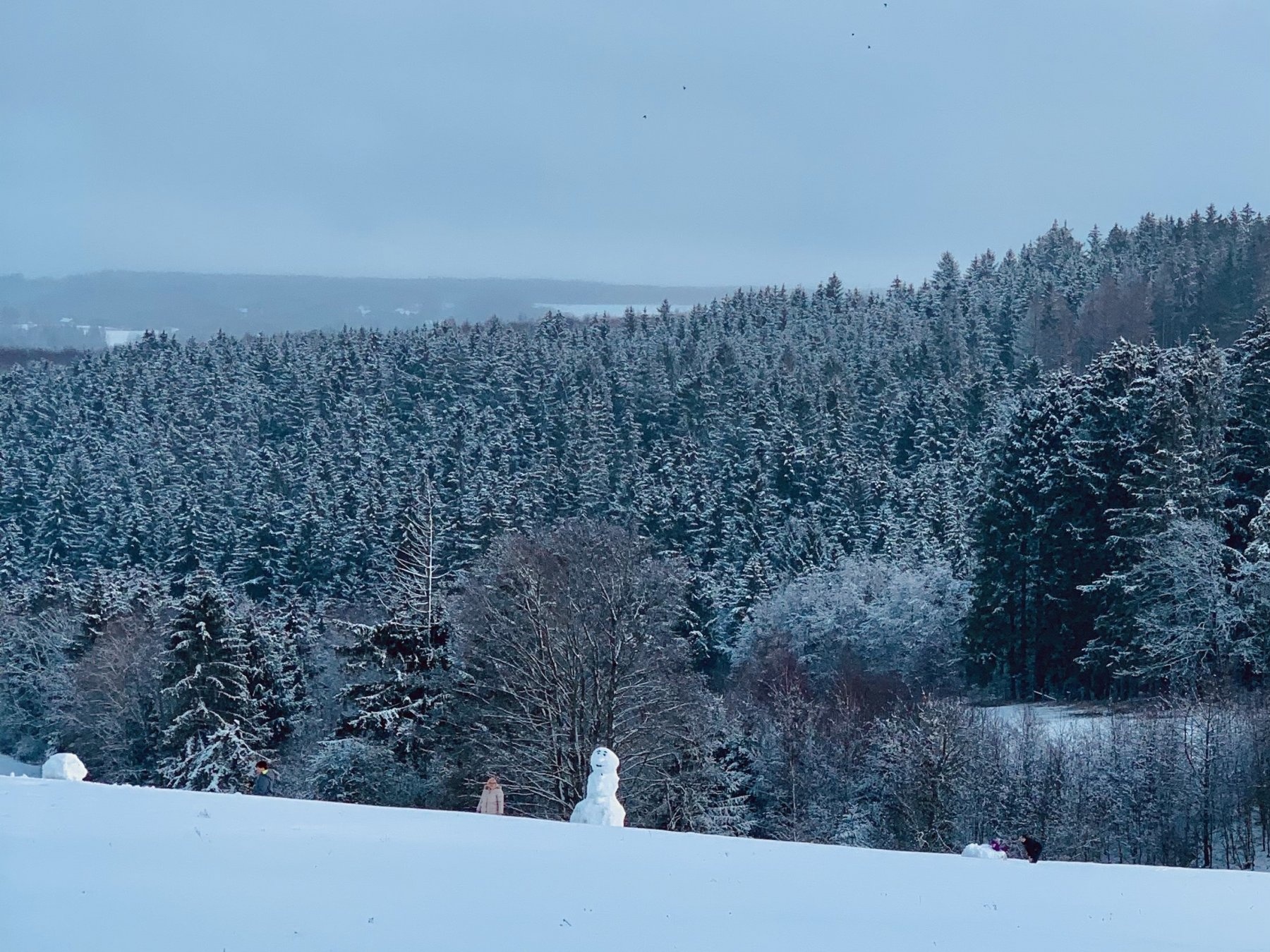 Eifel Camping Dickerscheid — Kemp in Hellenthal
