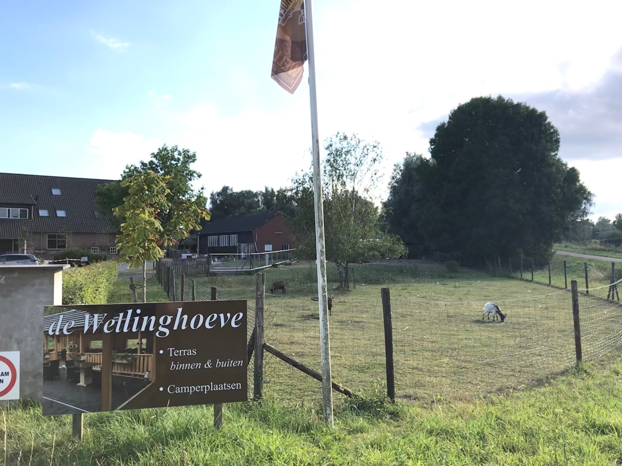 Wellinghoeve — Stellplatz in Groessen