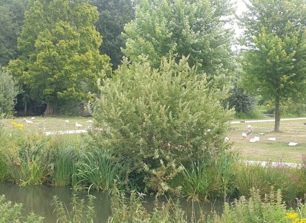 Stellplatz Hardenberg