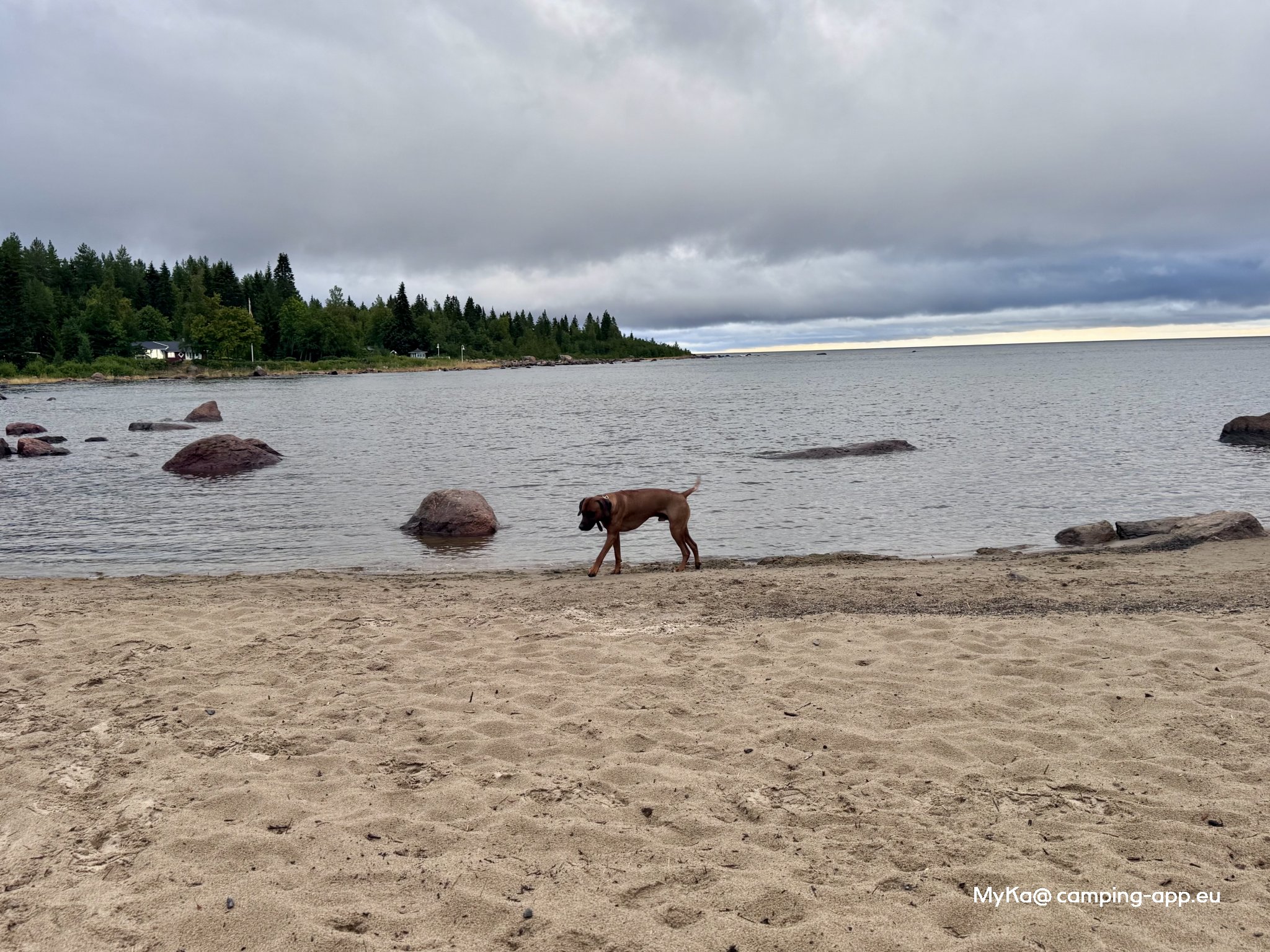 Storsands camping — Foto 2